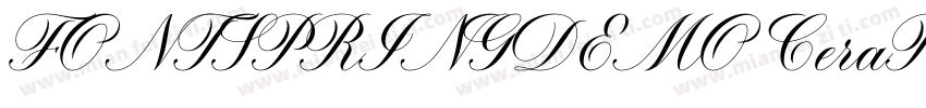 FONTSPRINGDEMO CeraP字体转换